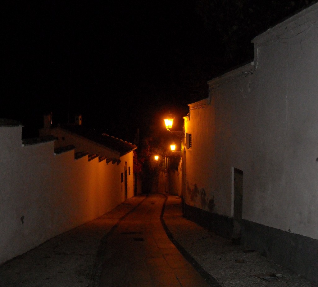 DSCN0328