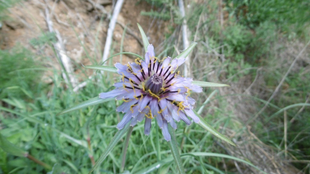 P1070094