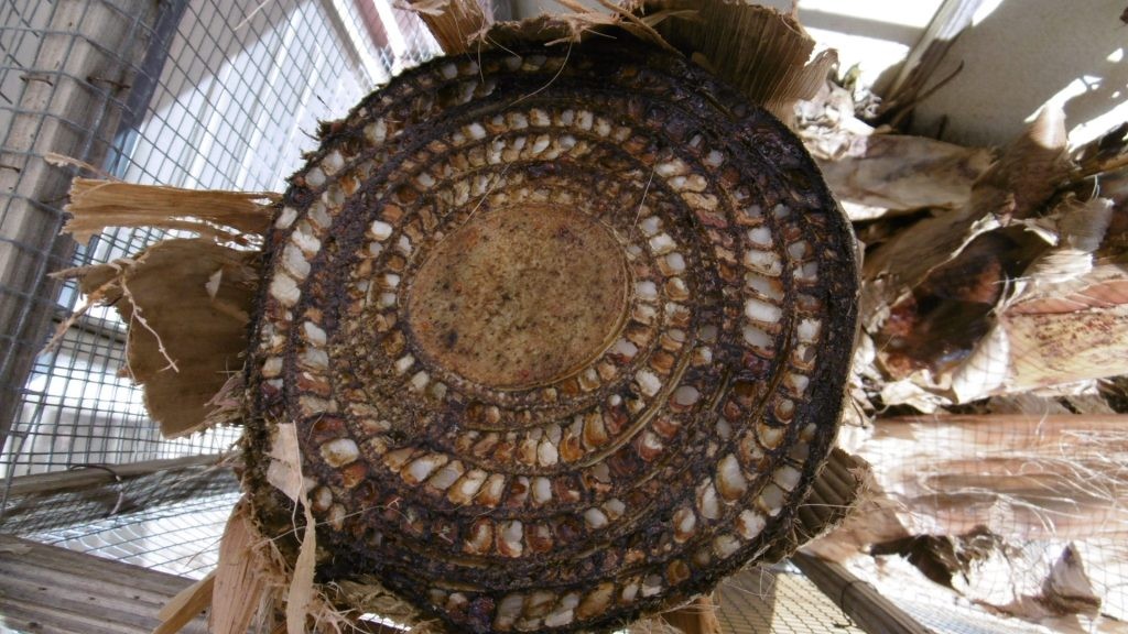 circle