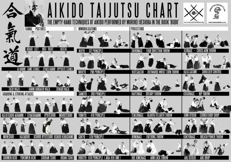 Tabla de Aikido Taijutsu
